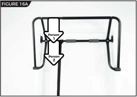 Test Weight and Height