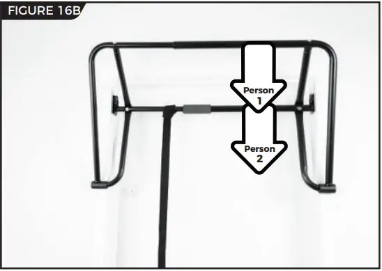 Test Weight and Height