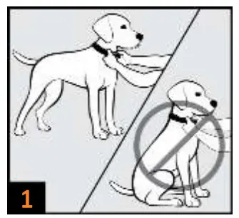 Step 2: Get To Know The Handheld