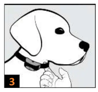 Step 2: Get To Know The Handheld