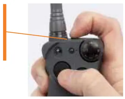 Step 5: Find Your Dog's Recognition Level