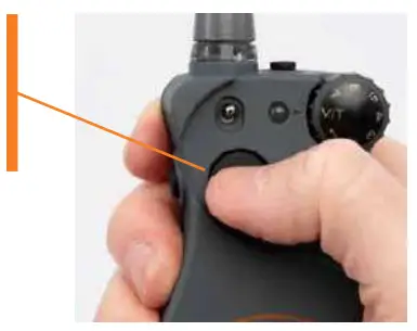 Step 5: Find Your Dog's Recognition Level