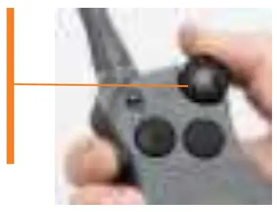 Step 5: Find Your Dog's Recognition Level