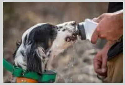 Health Sensor Alerts