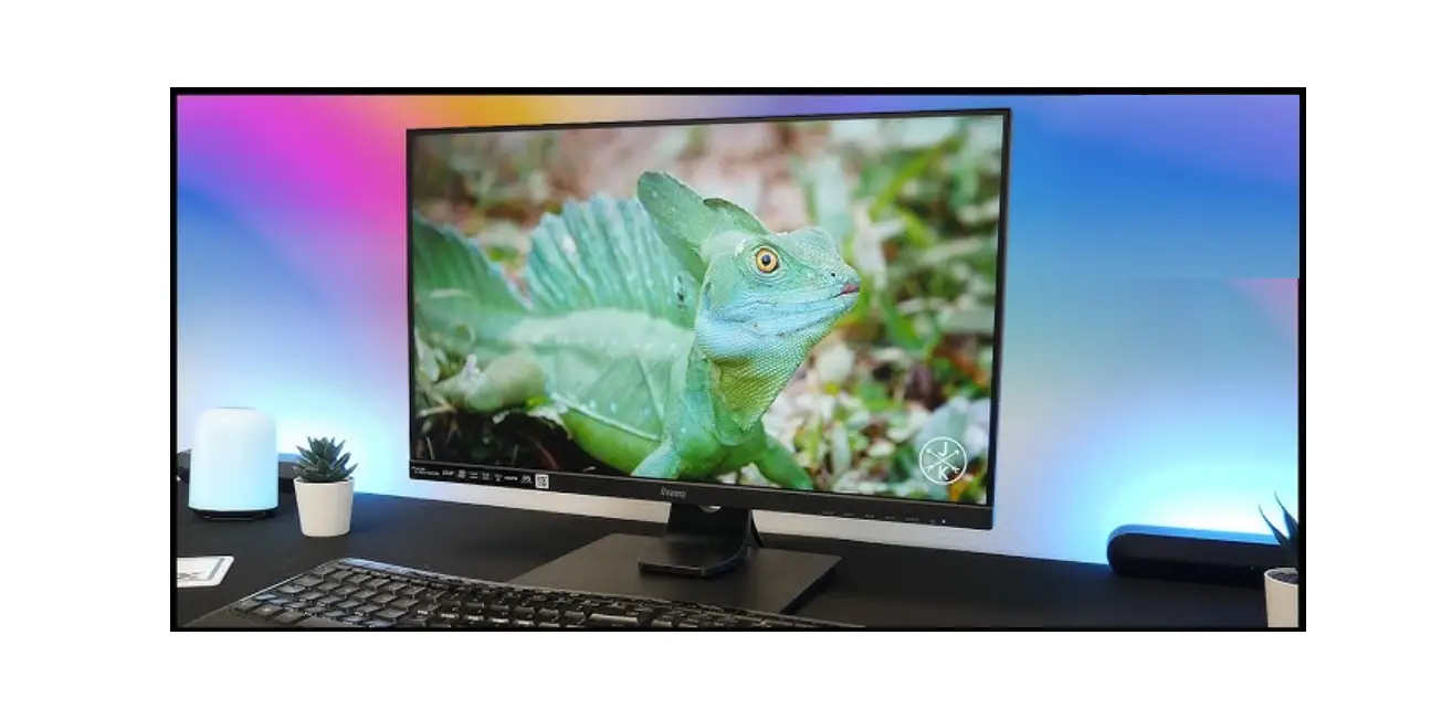 Iiyama Pl2455m Pro Lite Lcd Monitor User Manual