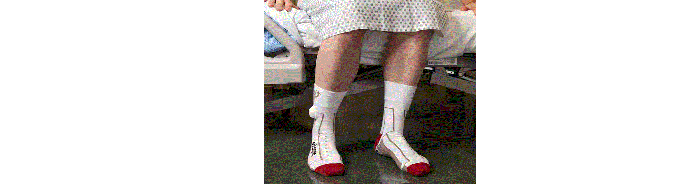 Palarum Pup Smart Socks User Manual