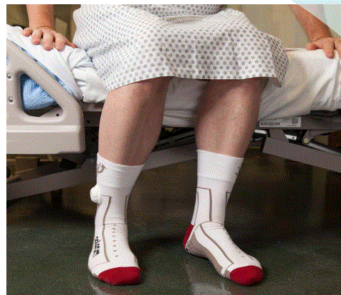 palarum-PUP-Smart-Socks-FIG-3