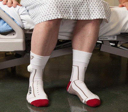 palarum-PUP-Smart-Socks-PRODUCT