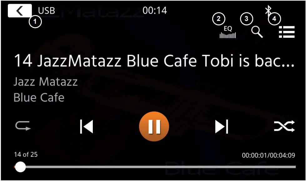 USB/IPOD/BT MUSIC (A/V) SOURCE