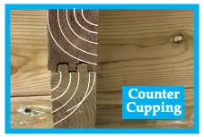 Counter Cupping