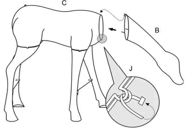 Assemblyh Instructmions