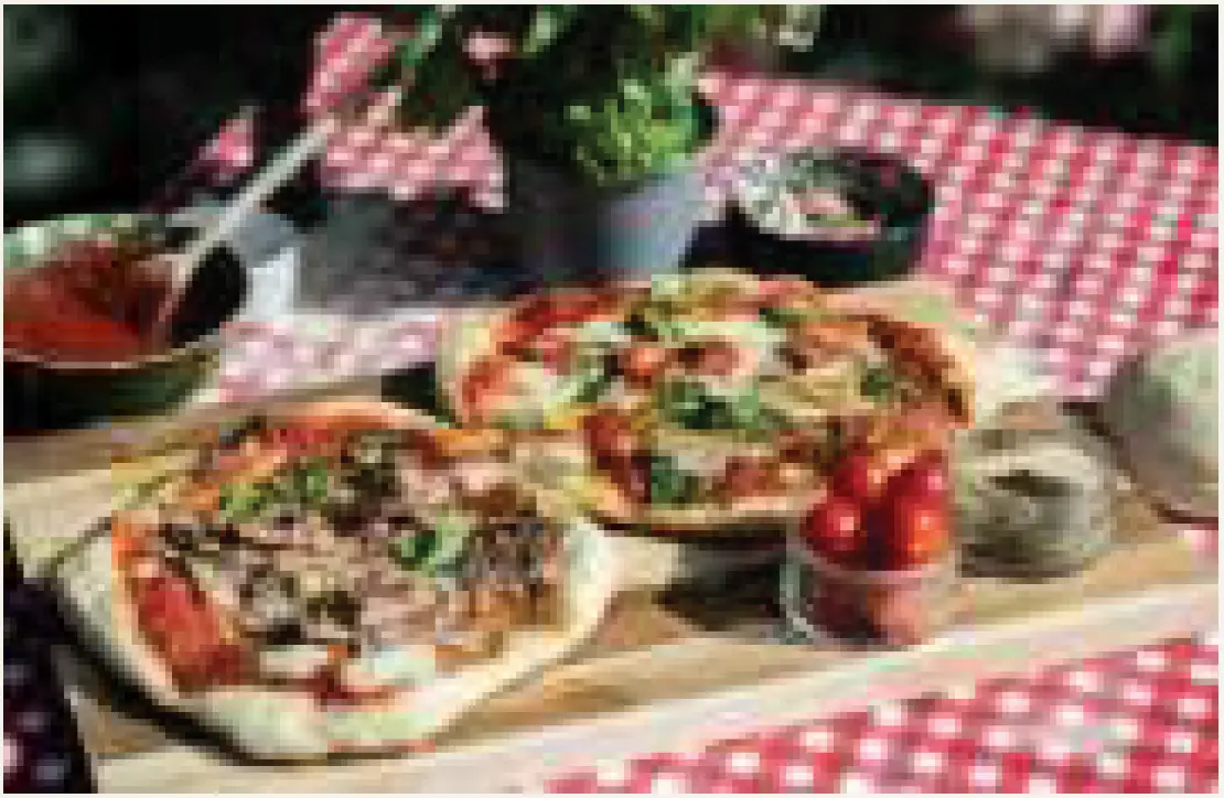 CADAC Pro 30 Pizza Stone User Manual-FIG-1