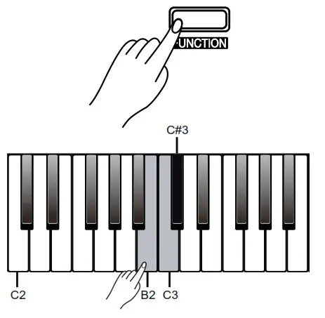 Thomann DP-32 B Digital Piano - Fig12
