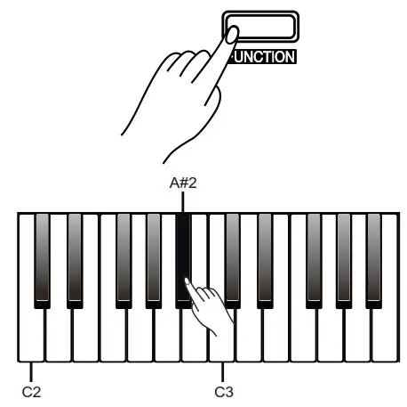 Thomann DP-32 B Digital Piano - Fig3