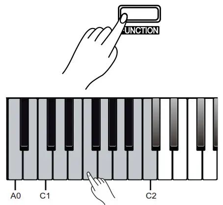 Thomann DP-32 B Digital Piano - Fig7
