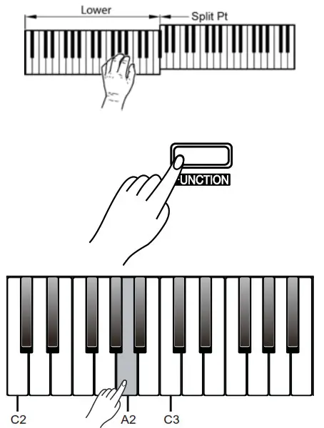 Thomann DP-32 B Digital Piano - Fig8