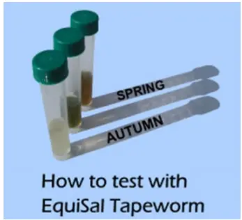 EquiSal Saliva Collection Swab - fig 1