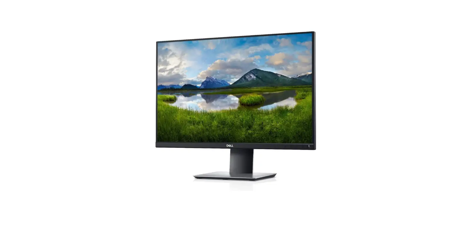 Dell 24 Monitor P2421 User Guide