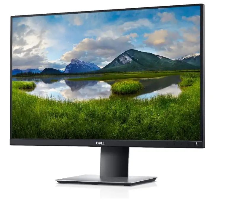 Dell-24-Monitor-P2421-Imgg