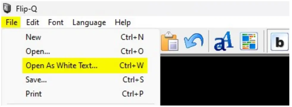 PROMPTER Met Flip Q Software - Display Settings 1