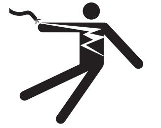 ShElictric Shock Icon