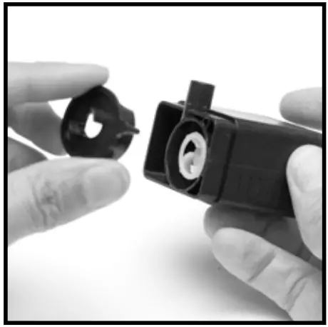 BERNINI 001351 Avola Fountain - fig 10