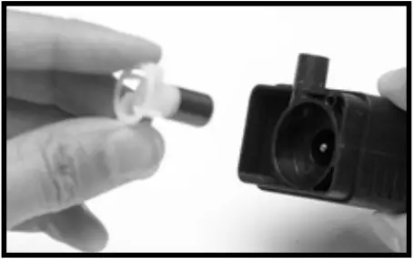 BERNINI 001351 Avola Fountain - fig 11