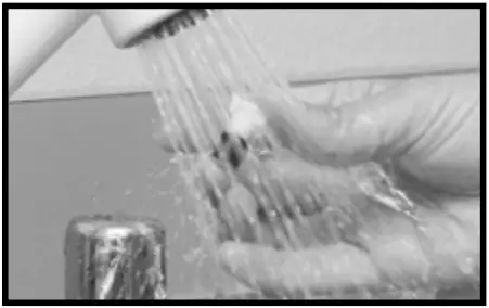 BERNINI 001351 Avola Fountain - fig 12