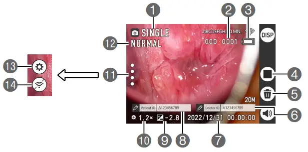 LCD Monitor Display Details and Switching Procedure
