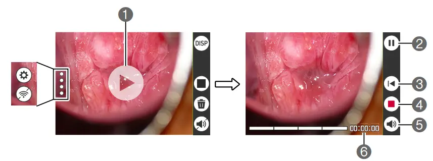 LCD Monitor Display Details and Switching Procedure