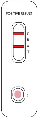 Attogene AU2033 SARS CoV 2 Influenza A and B Antigen Assay - fig 15