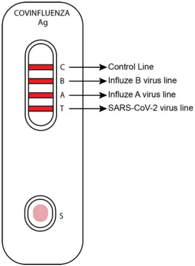 Attogene AU2033 SARS CoV 2 Influenza A and B Antigen Assay
