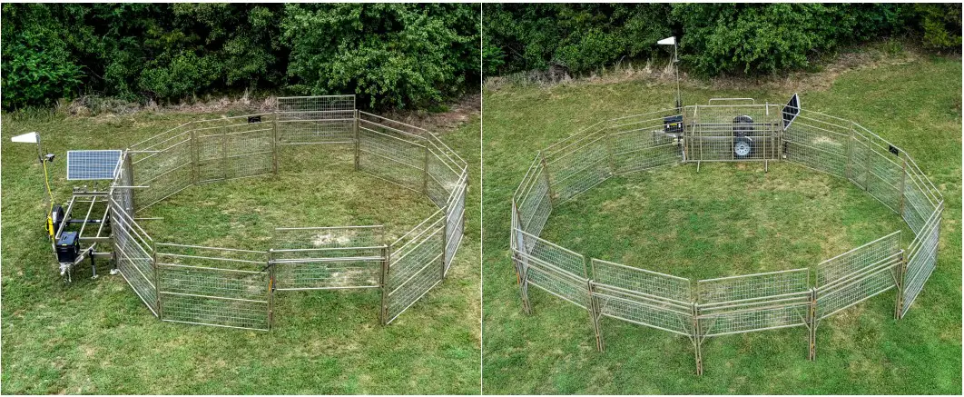 Bull Creek JR 2x8 Wild Hog Traps