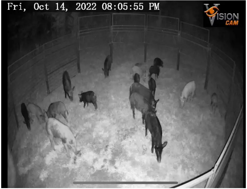 Lifting Panels from Trailer