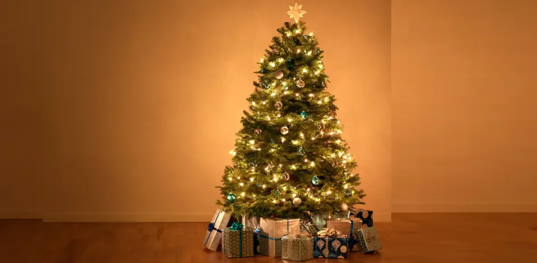 Ge Holiday 22005 Pre-lit Christmas Trees Instruction Manual Ge Holiday 22005 Pre-lit Christmas Trees Instruction Manual