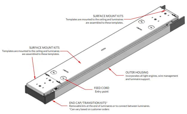 A. Identification of Renna Luminaire