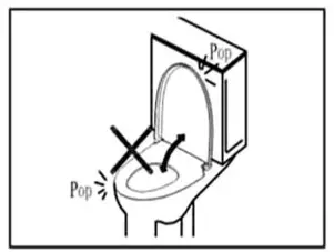 BTCSTAR BTCMTL0412WH 12 Inch 1 piece 1 27 GPF Dual Flush Elongated Toilet - Instructions 21