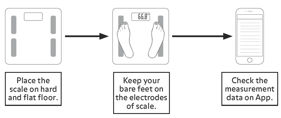 Starfrit-095569004NEW1-Bluetooth-Body-Analysis-Smart-Scale-FIG-12