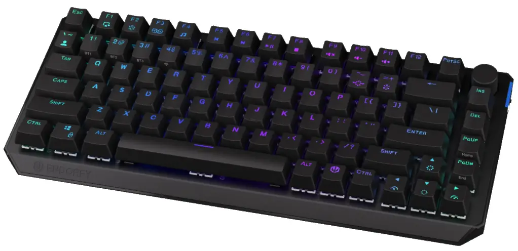 ENDORFY EY5A073 Thock 75 Percent Wireless Mechanical Gaming Keyboard
