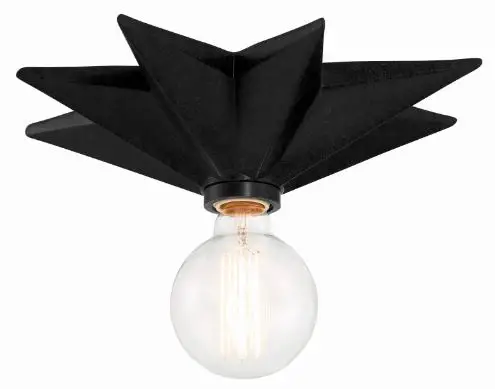 CRYSTORAMA-9230-BK-CEILING-Astro-One-Light-Ceiling-Mount-PRO