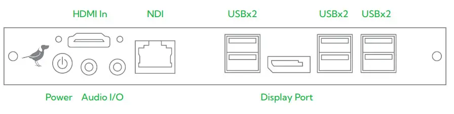 BirdDog Australia SDM NDI Decoder with DisplayPort - HDMI