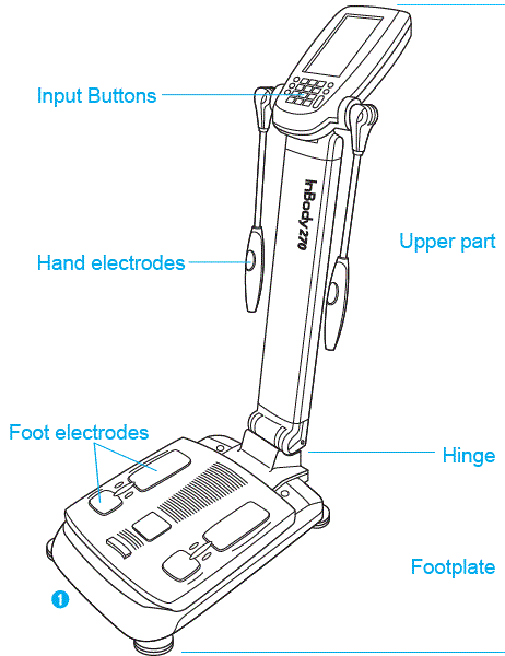 InBody-270-Body-Composition-Analyser-fig-1