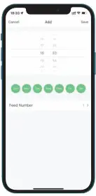 Set A Reasonable Feeding Time 