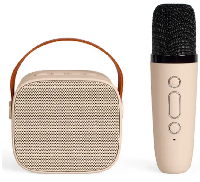 Livoo TEC618 Bluetooth Wireless Mini Karaoke