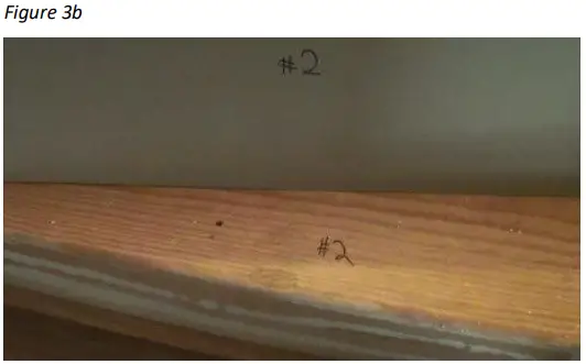 MANNINGTON MSS-20 SimpleStairs XLTM Stair Tread-FIG3