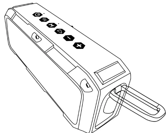 RAYCON-The-Impact-Speaker-FIG-34