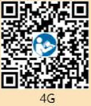 HUAWEI SUN2000 Solar Inverter - QR 3