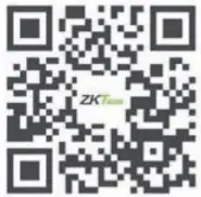 ZKTECO ZD32 4K 32 Inch UHD LED Monitor - QR Code