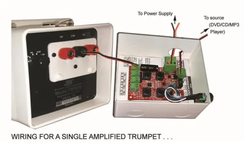 Ampbackplate And Trumpet Speaker Wiring And Installation Instruction