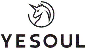 YESOUL-logo